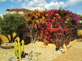 GARDEN (2).jpg